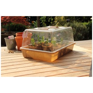 Semenzaio Videx Garden con coperchio trasparente e piccole piante su un tavolo di legno.