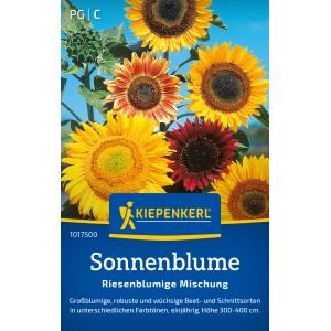 Kiepenkerl Tournesol Fleur Géante Mélange Multicolore : Diverses couleurs du jaune au rouge.