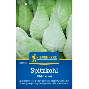 Paquet de graines de chou pointu Filderkraut Kiepenkerl avec des choux vert clair.