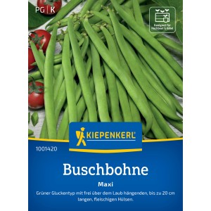 Graines de haricots nains Kiepenkerl Maxi : Haricots verts et longs présentés sur l'emballage.