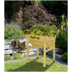 VegTrug Kids aiuola rialzata in legno, piantata con verdure ed erbe aromatiche in giardino.