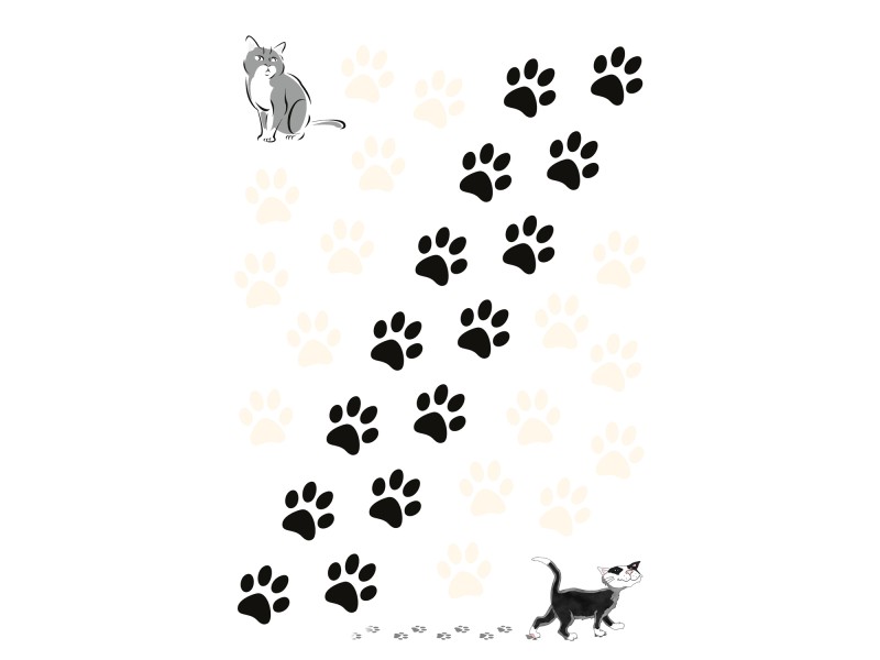 12 ADESIVI ORME ZAMPETTE CANE/GATTO Per Auto/Moto O Casco - Foto 4