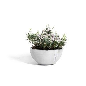Pot de fleurs Ecopots Brussels, gris-blanc, Ø 25cm, avec plante.