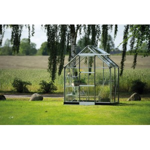 Serre Halls Icon 6 Alu 2,5 m² dans le jardin, avec des plantes sur les étagères.