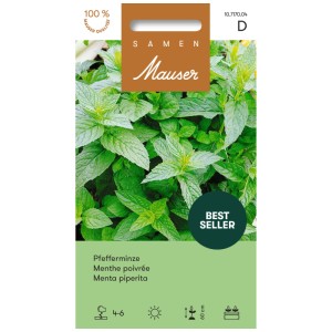 Semi di menta piperita: semi di erbe aromatiche per tè e cucina.
