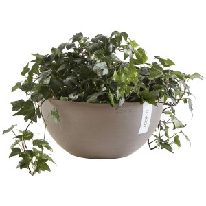 Cache-pot Ecopots Brussels, Taupe français, Ø 25cm, planté de lierre.