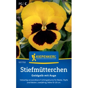 Pensée Kiepenkerl Goldgelb mit Auge, fleur jaune d'or avec centre foncé.