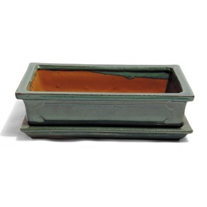 Pot à bonsaï rectangulaire vert avec soucoupe, Ø 30 cm, pour arbres bonsaï.