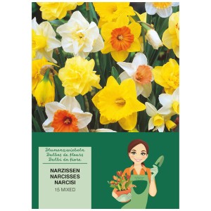 GROW by OBI Narzissen-Mischung, 15 mehrfarbige Blumenzwiebeln für den Garten.
