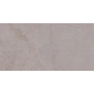 Carrelage mural Paradis Grey, 30x60 cm, avec une finition mate pour un look moderne.