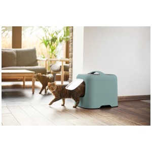 Maison de toilette pour chat Rotho Biala en vert Mistletoe avec chat entrant.
