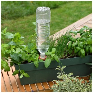 Hozelock Aquasolo élément d'arrosage taille S avec bouteille d'eau utilisé dans le jardin.