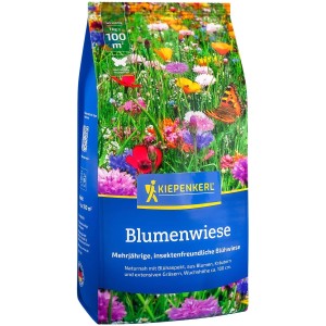 Graines de gazon prairie fleurie Kiepenkerl, paquet de 1 kg avec mélange de fleurs colorées.