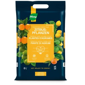 Sacco di terriccio per agrumi Maag 8L: Terriccio senza torba per piante di agrumi sane e frutti rigogliosi.