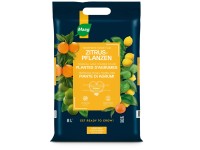 Maag Zitruspflanzen Erde 8 l Maag Zitruspflanzen Erde 8 l