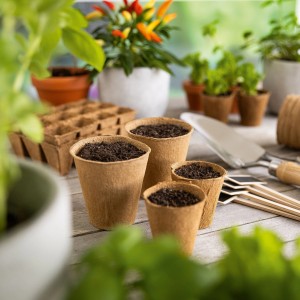 Pots de semis, ronds, 6 cm Ø, 24 pièces, remplis de terre, pour la culture des plantes.