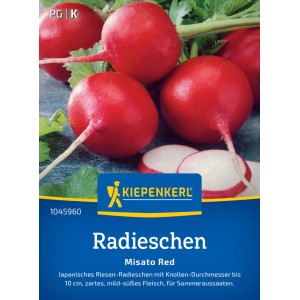 Graines de radis Kiepenkerl Misato Red : Radis rouges et ronds avec feuilles.