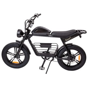 E-Bike Gen2 Blazer Fat Tire nero con portapacchi e luce anteriore.