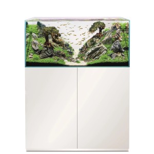 Oase Aquarium-Set Scaperline 100 Blanc avec meuble, planté et avec poissons.