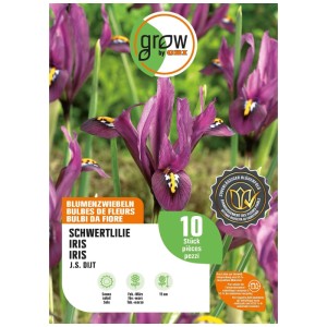GROW by OBI Iris J.S. Dijt Viola, 10 bulbi da fiore. Fiori di iris viola con centro giallo sulla confezione.