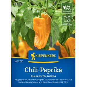 Graines de piment Kiepenkerl Chili-Paprika Burpees Tarantella avec fruits orange.