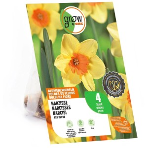 GROW by OBI Narzisse Red Devon Blumenzwiebeln, 4 Stück. Gelbe Blüte mit orangefarbener Krone auf Verpackung.