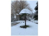 Colibri Palmenhut Premium Ø 280 cm / Höhe  112 - 520 cm