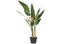 Kunstpflanze Strelitzia Tree im Blumentopf Ø 13 cm / Höhe 115 cm