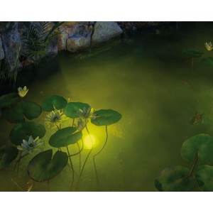 Laghetto con ninfee e illuminazione a LED per laghetti Paulmann Plug & Shine in bianco caldo.