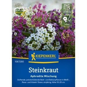 Kiepenkerl Alyssum Aphrodite Mix: Fiori profumati in bianco, rosa e viola.