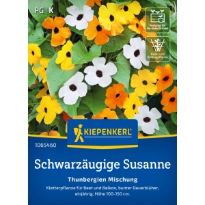 Mix di Thunbergia 'Susanna dagli occhi neri' Kiepenkerl con fiori gialli, arancioni e bianchi.