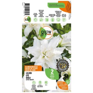 Confezione da 2 gigli Grow by OBI Lotus Beauty con grandi fiori bianchi.