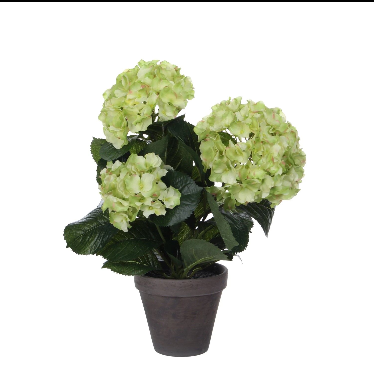 Mica Decorations Kunstpflanze Hortensie Grn Topf  35 cm / Hhe 40 cm