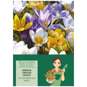 Krokus Blumenzwiebel-Mischung mit bunten Blüten in Gelb, Lila und Weiß. 50 Stück.