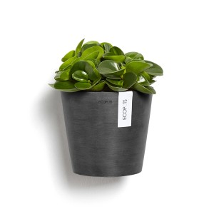 Vaso da appendere Ecopots Amsterdam Wall, grigio scuro, 20x17,5 cm, con pianta verde.