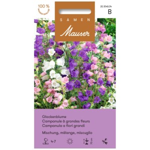 Sachet de graines de campanule, mélange à grandes fleurs avec des fleurs roses, violettes et blanches.