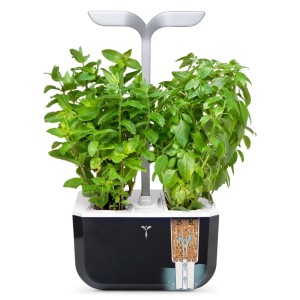 Véritable Exky Smart orto indoor nero con erbe aromatiche.