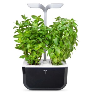 Véritable Exky Smart orto indoor nero con erbe aromatiche che crescono sotto la luce LED.