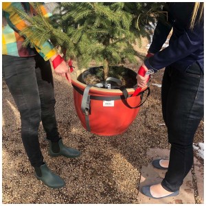 Sangle de transport Nielsen GardenDolly avec arbre, poignées rouges, charge max. 370 kg. Aide au transport pour jardin.