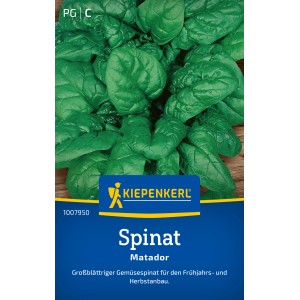 Kiepenkerl Épinard Matador : Graines d'épinards légumes à grandes feuilles résistantes.