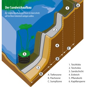 Illustrazione: Struttura di una sponda di laghetto con telo per laghetti Heissner, tessuto non tessuto, strato di sabbia e piantumazione.
