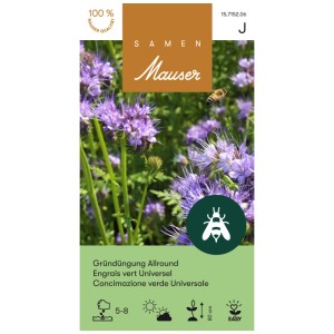 Sementi Mauser per sovescio Allround Phacelia Blue, pascolo per api con fiori viola.