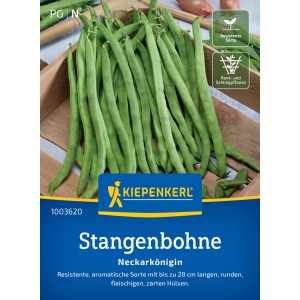Kiepenkerl Stangenbohne Neckarkönigin: Semi per fagioli aromatici, lunghi e verdi.