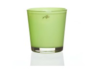 Topf Orchidee mit Ring Hellgrün Ø 12,5 cm / Höhe 13 cm