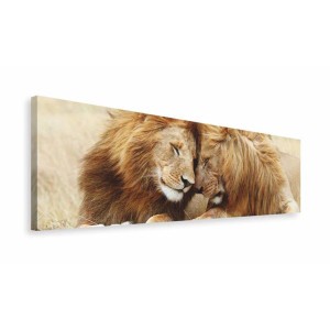 Blocco decorativo: Due leoni che si coccolano, 40x118 cm. Quadro da parete per soggiorno e altro.