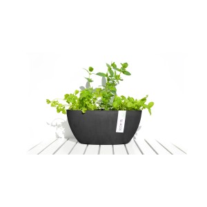 Jardinière Ecopots Sofia gris foncé (13,5x13x30cm) avec des plantes vertes.