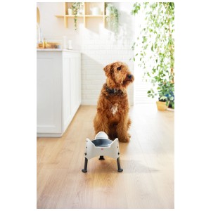Gamelle pour chien Rotho Sammy réglable, blanche, 1,02 l, avec chien en arrière-plan.