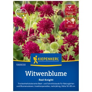 Graines de fleur de veuve Red Knight Kiepenkerl avec des fleurs rouge rubis.
