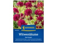 Kiepenkerl Saatgut Witwenblume Red Knight 15 Pflanzen Kiepenkerl Saatgut Witwenblume Red Knight 15 Pflanzen