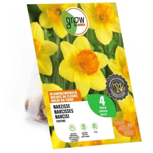 GROW by OBI Narzisse Fortune Blumenzwiebeln, 4 Stück. Gelbe Narzissen mit orangefarbener Krone auf der Verpackung.